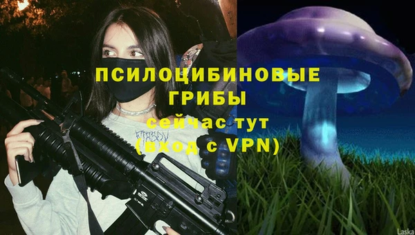 кокс Аркадак