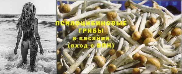 a pvp Арсеньев