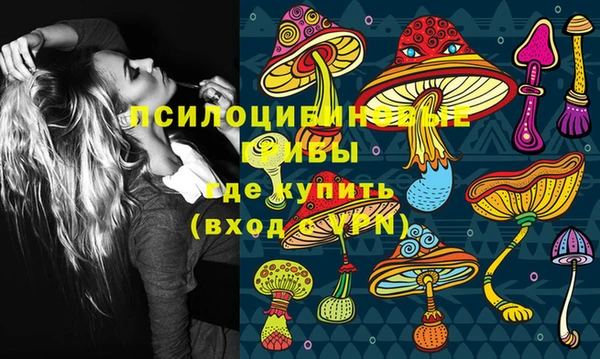 кокс Аркадак