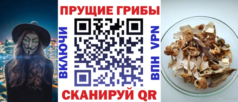 Псилоцибиновые грибы Magic Shrooms Олонец